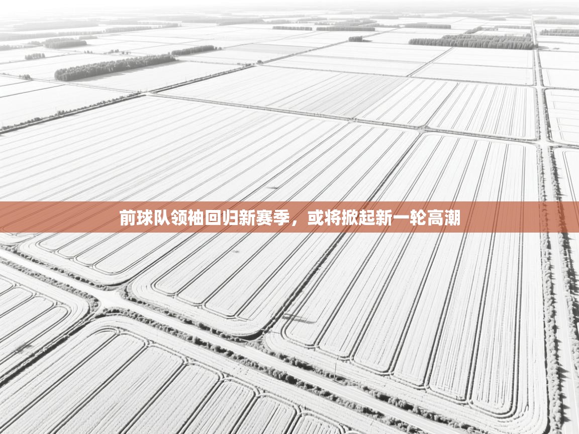 前球队领袖回归新赛季,或将掀起新一轮高潮 第1张