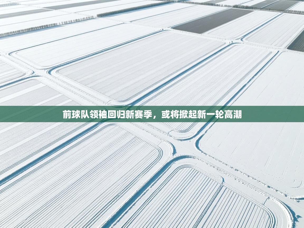 前球队领袖回归新赛季,或将掀起新一轮高潮 第2张